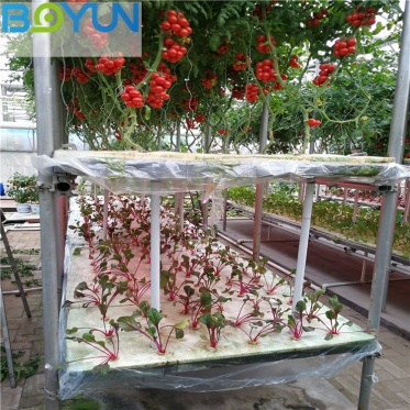 安徽无土栽培工程之浅液流（NFT）水培蔬菜模式及技术