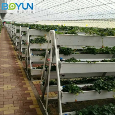 无土栽培草莓种植槽 加工定制 承接无土栽培设备设计安装及工程