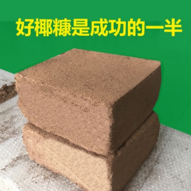 无土栽培用优质椰糠砖 印度进口品质保证 5kg椰糠砖热销